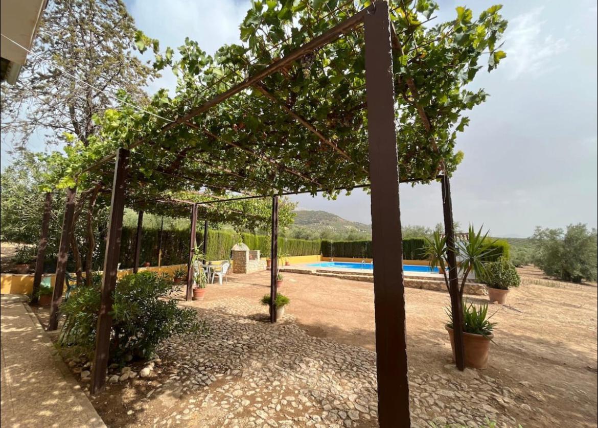 Cortijo Loma Del Belloton カソルラ エクステリア 写真